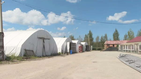 20240924145752058537.png image.png