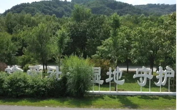 20230914131414066106.png image.png