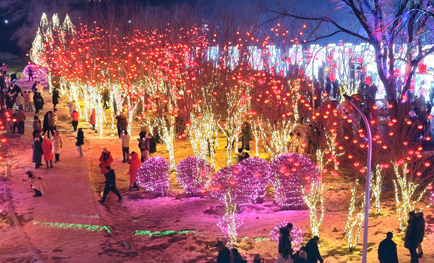 20240226134955076143.png image.png