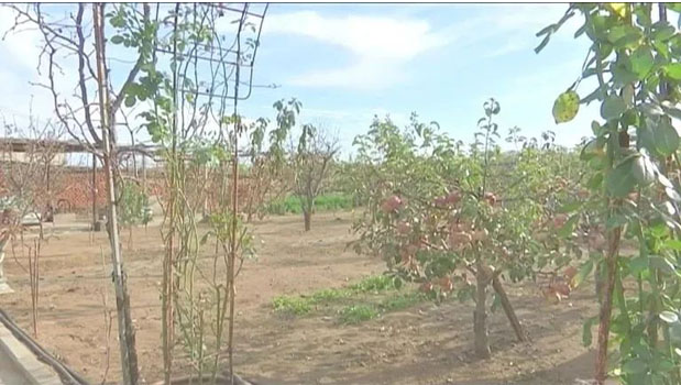 20231116135635093032.png image.png