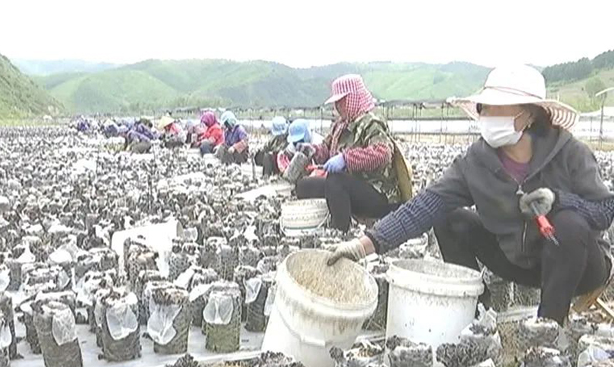 20230621135203060462.png image.png