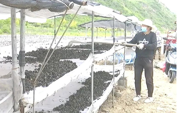 20230621135143009120.png image.png