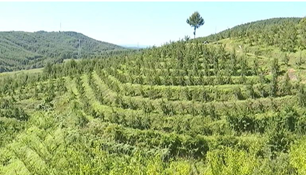 20231008084803027216.png image.png