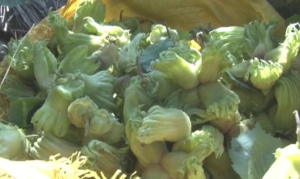 20231010083520057538.png image.png