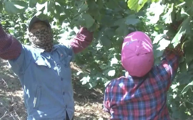 20231010083546047044.png image.png