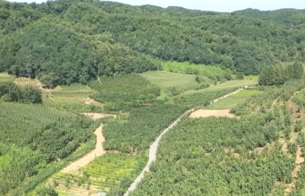 20231010083610094946.png image.png