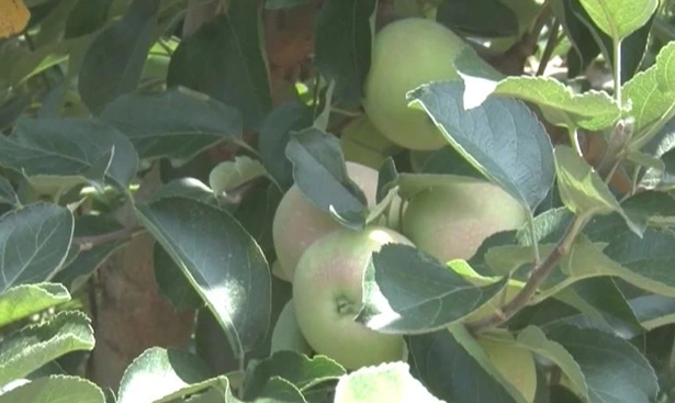 20231010083456032580.png image.png