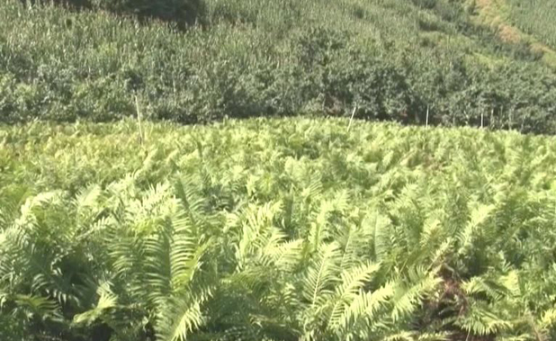 20231010083434081915.png image.png