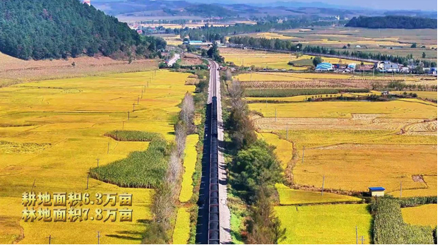 20231017153323018805.png image.png