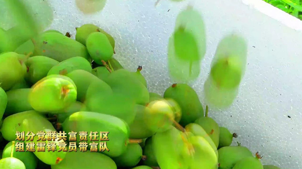 20231017153222013376.png image.png