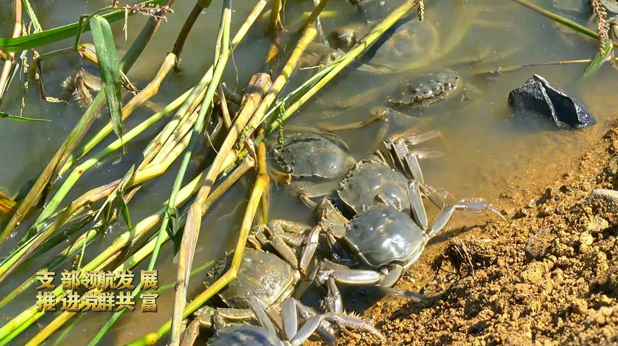 20231017153250027277.png image.png