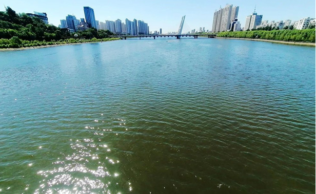 20240903081019026342.png image.png