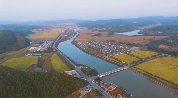 20240805082909002759.png image.png