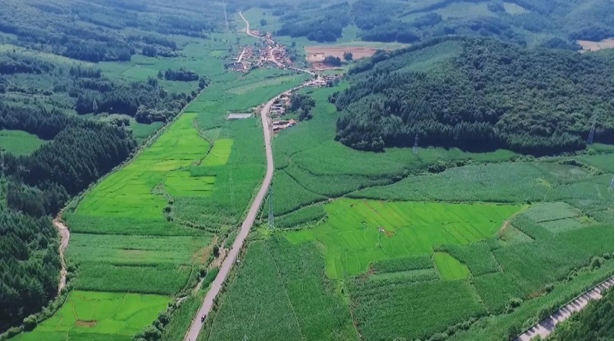 20240805082813074643.png image.png