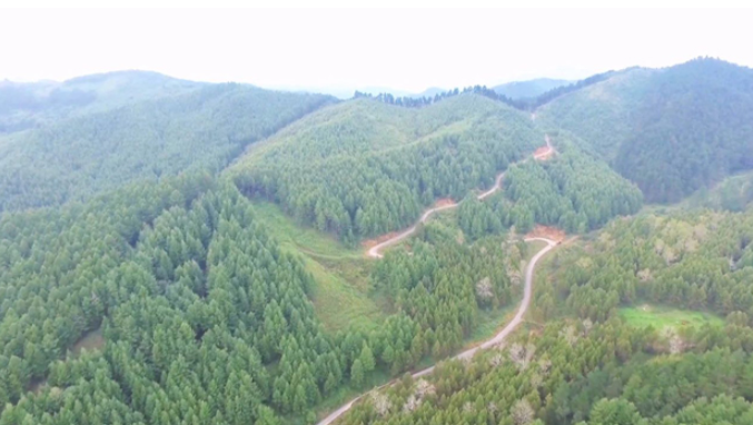 20240604083210089683.png image.png