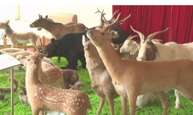 20240604083141009789.png image.png