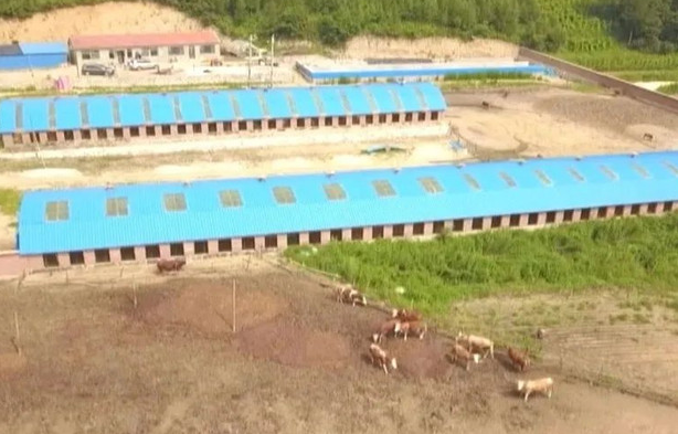 20231110084400073746.png image.png