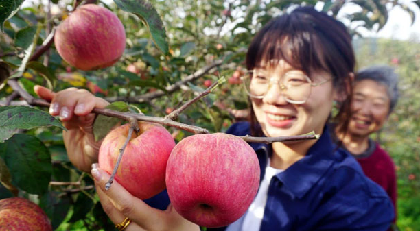 20241010133312051578.png image.png