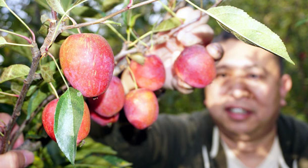 20241010133240019450.png image.png