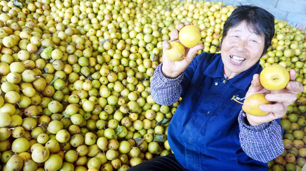 20241010133328057223.png image.png