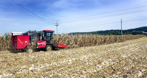 20241010133254097098.png image.png