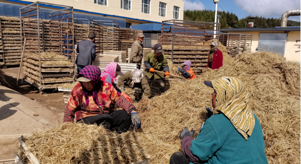 20241010133203083634.png image.png