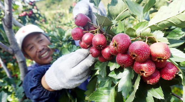 20241010133353096458.png image.png