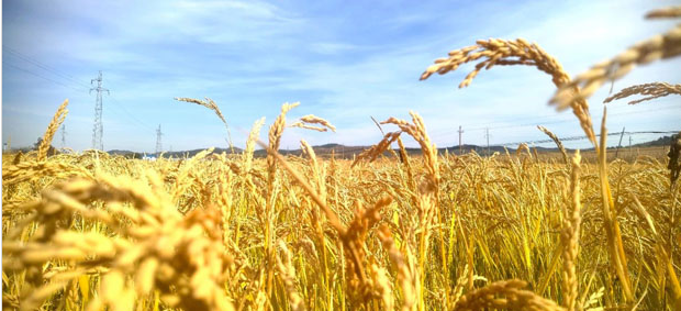 20241010133443023695.png image.png