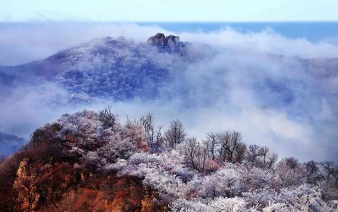 20231223170539025802.png image.png