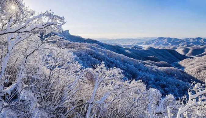 20231223170507021507.png image.png