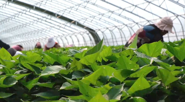 20240112082432020383.png image.png