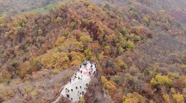 20241009090930057064.png image.png