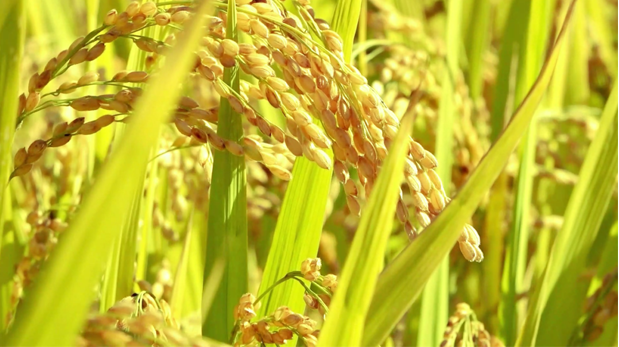 20231103085148002648.png image.png