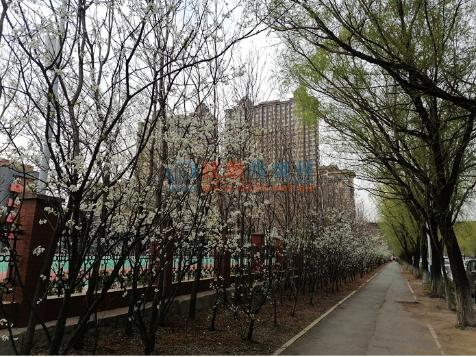 20230418093141079588.png image.png