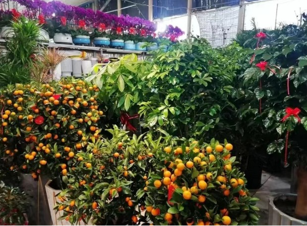 20240130130936073666.png image.png