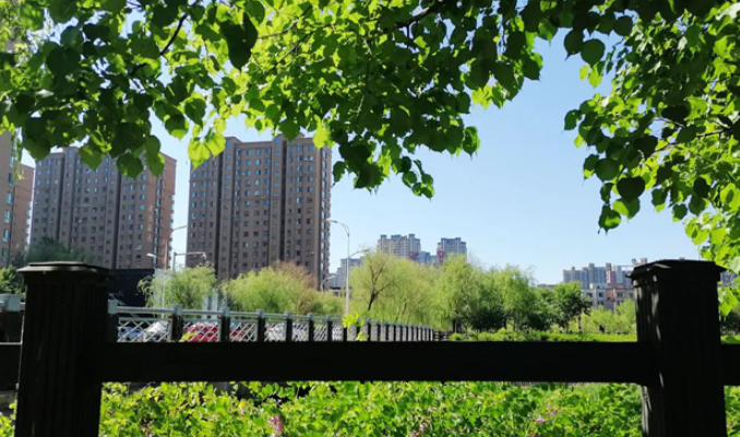 20240606081909065416.png image.png