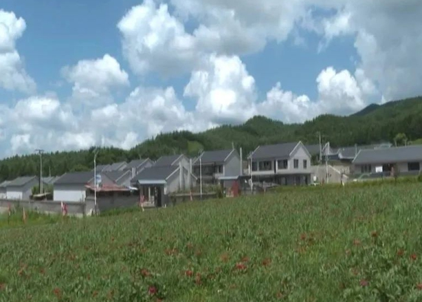 20230818081332053812.png image.png