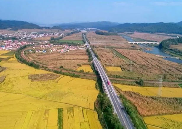 20230418081812014887.png image.png