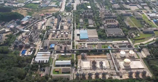 20241015082522030524.png image.png