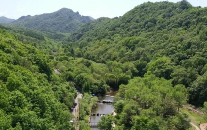 20230520082834067658.png image.png