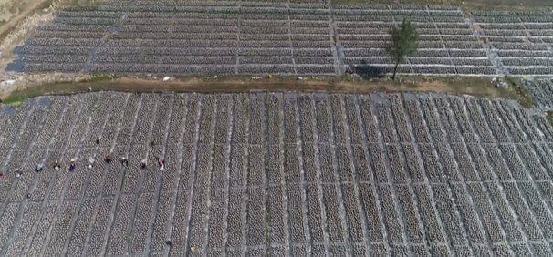 20241007103452063482.png image.png