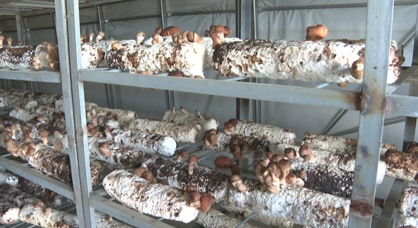 20241007103531026449.png image.png