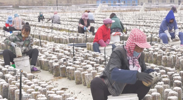 20241007103549090552.png image.png