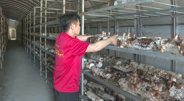 20241007103512098918.png image.png